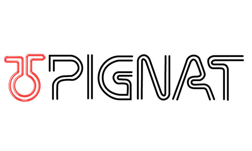 Allegheny Educational Systems Pignat Logo